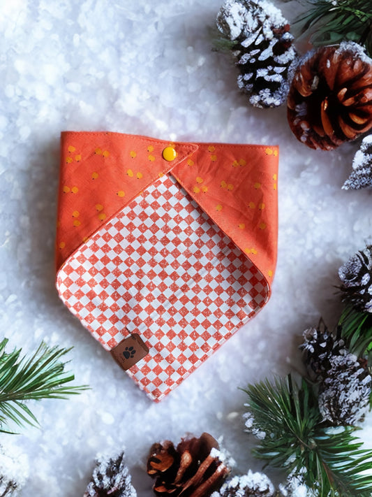 Checker & Clementine Pet Bandana